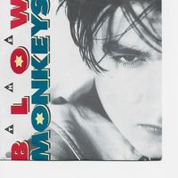 The blow Monkeys  --  It doesn`t have to  Single7